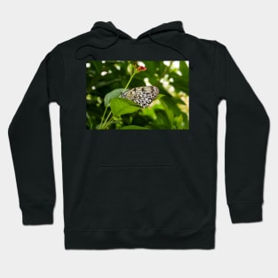 Rice Paper Butterfly Hoodie